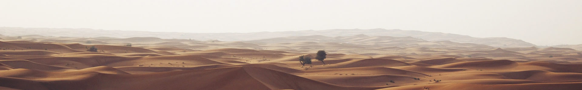 ڰ޹˾